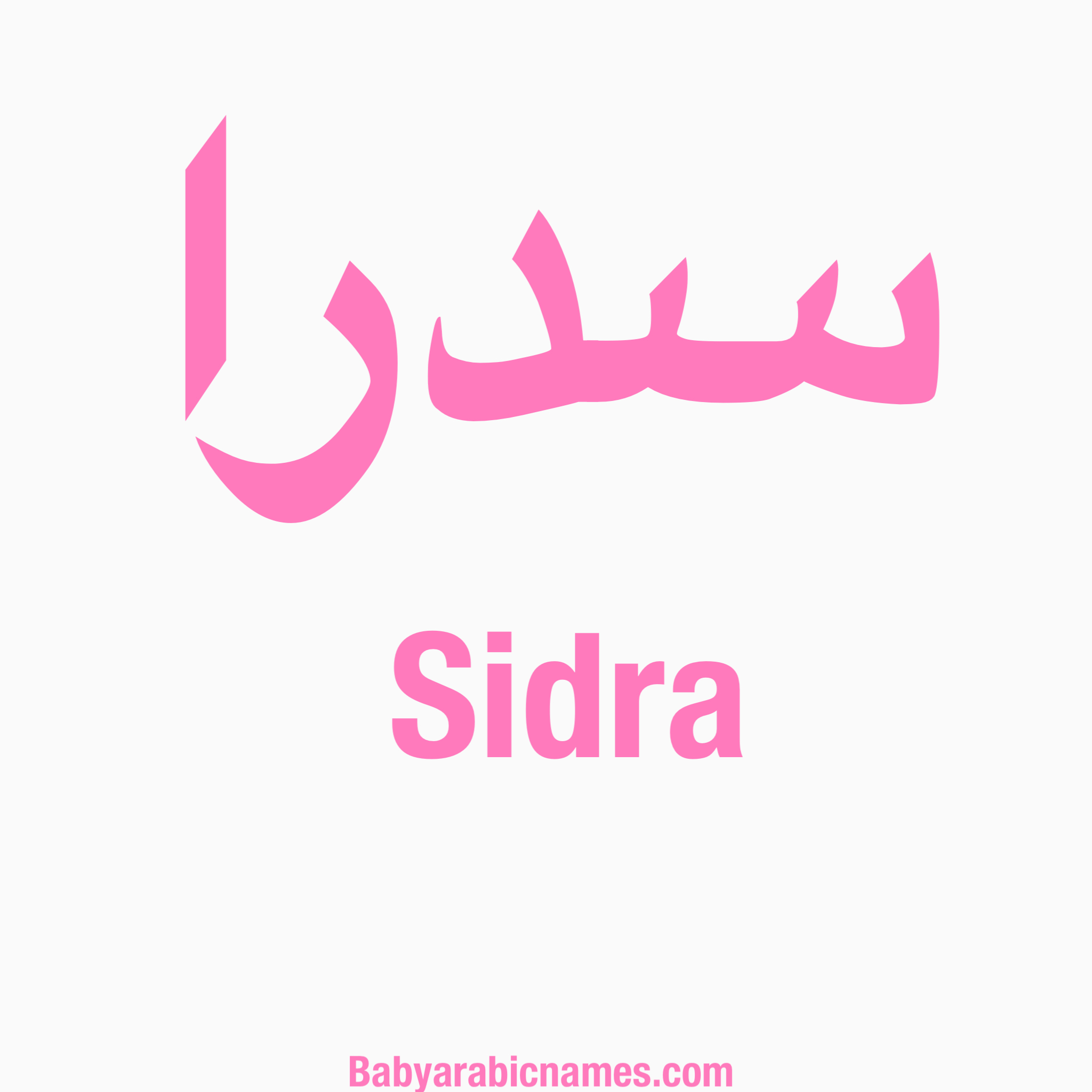 Sidra Baby Girl Arabic Name