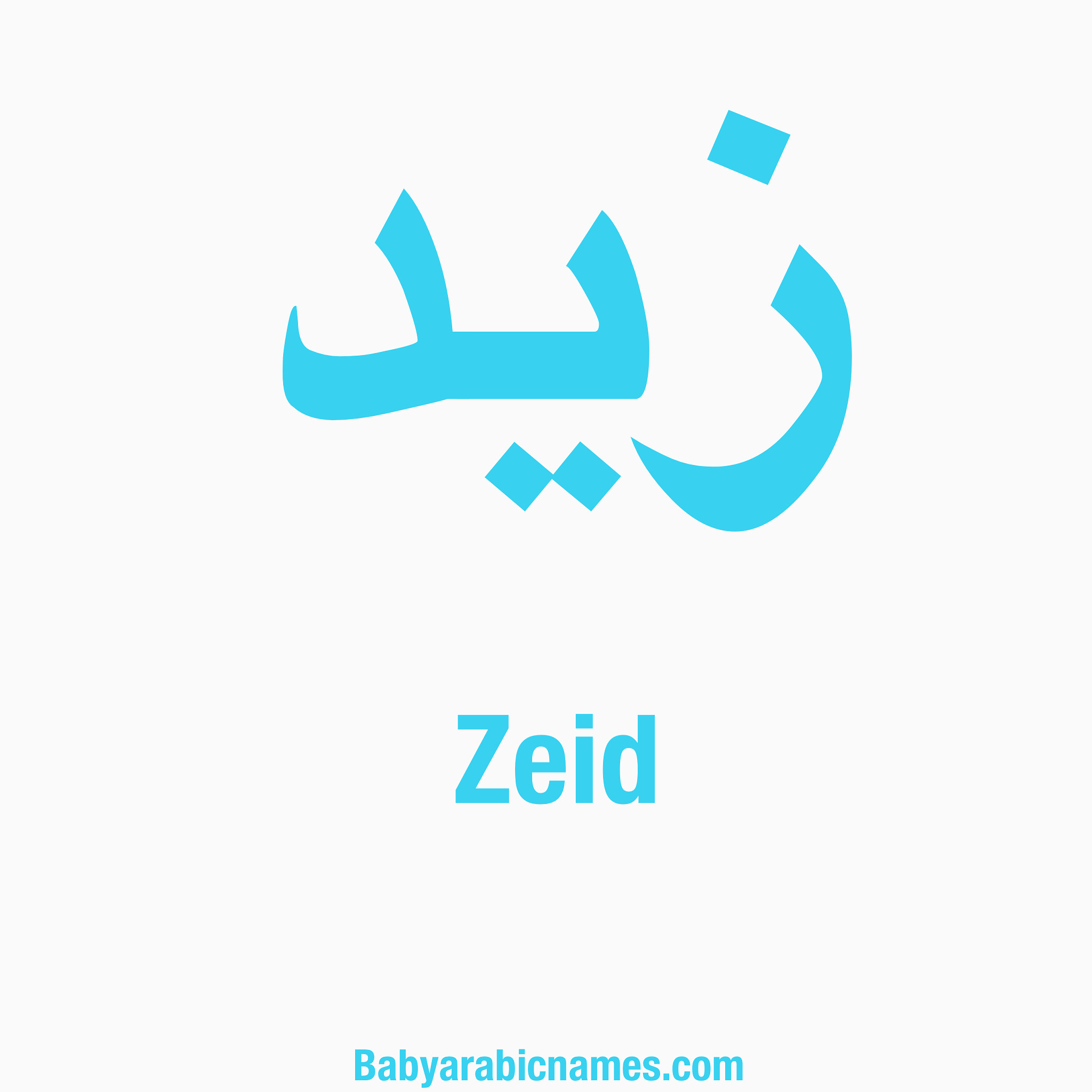 Zeid Baby Boy Arabic Name