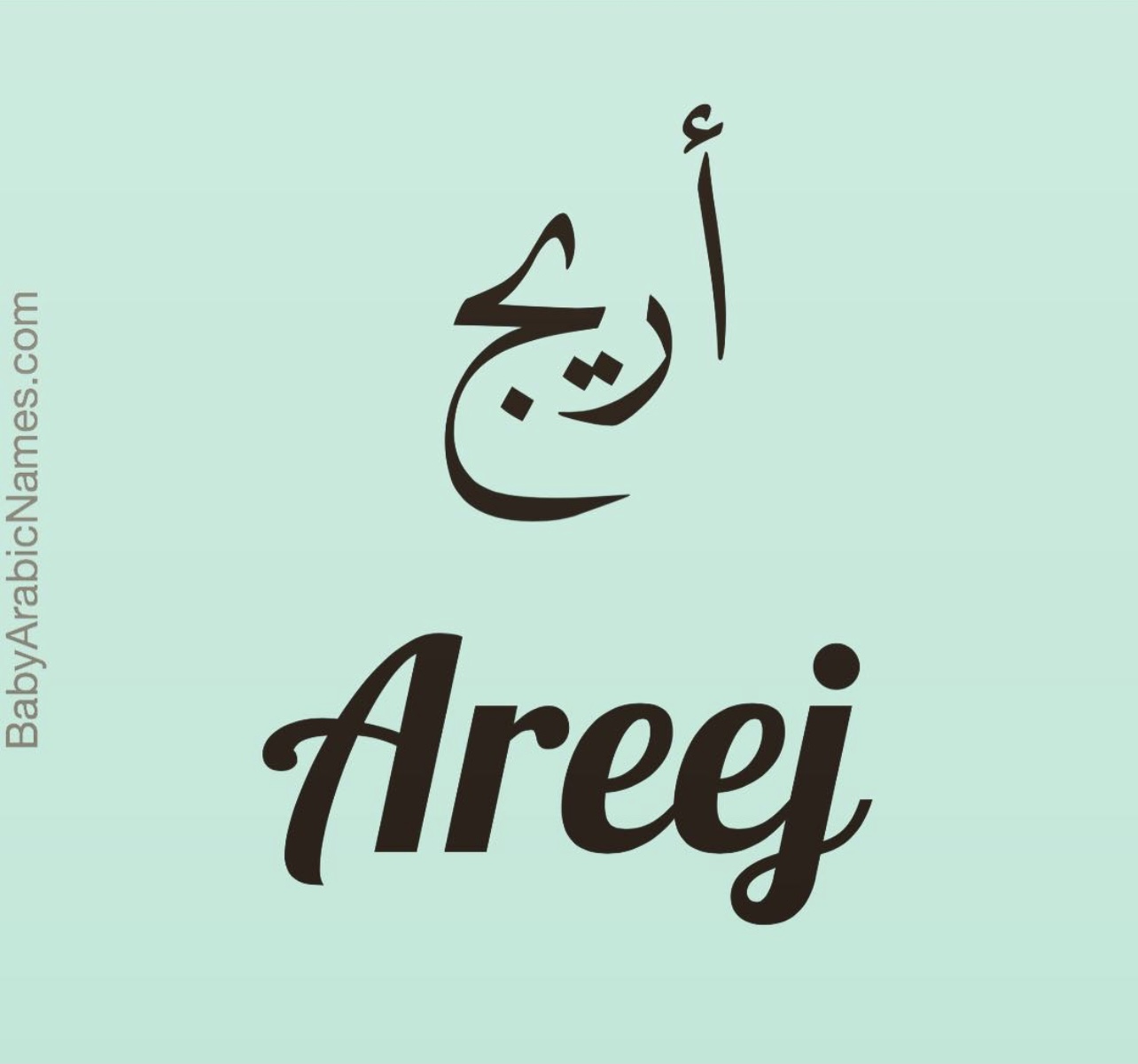 Areej Unisex Baby Arabic Name
