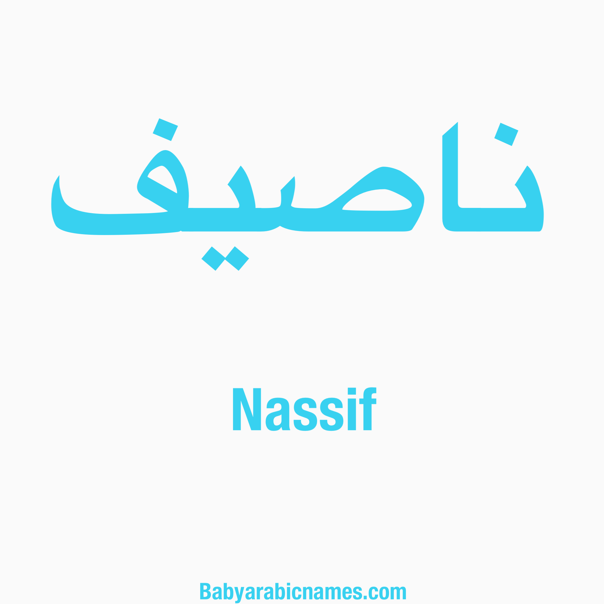 Nassif Baby Boy Arabic Name