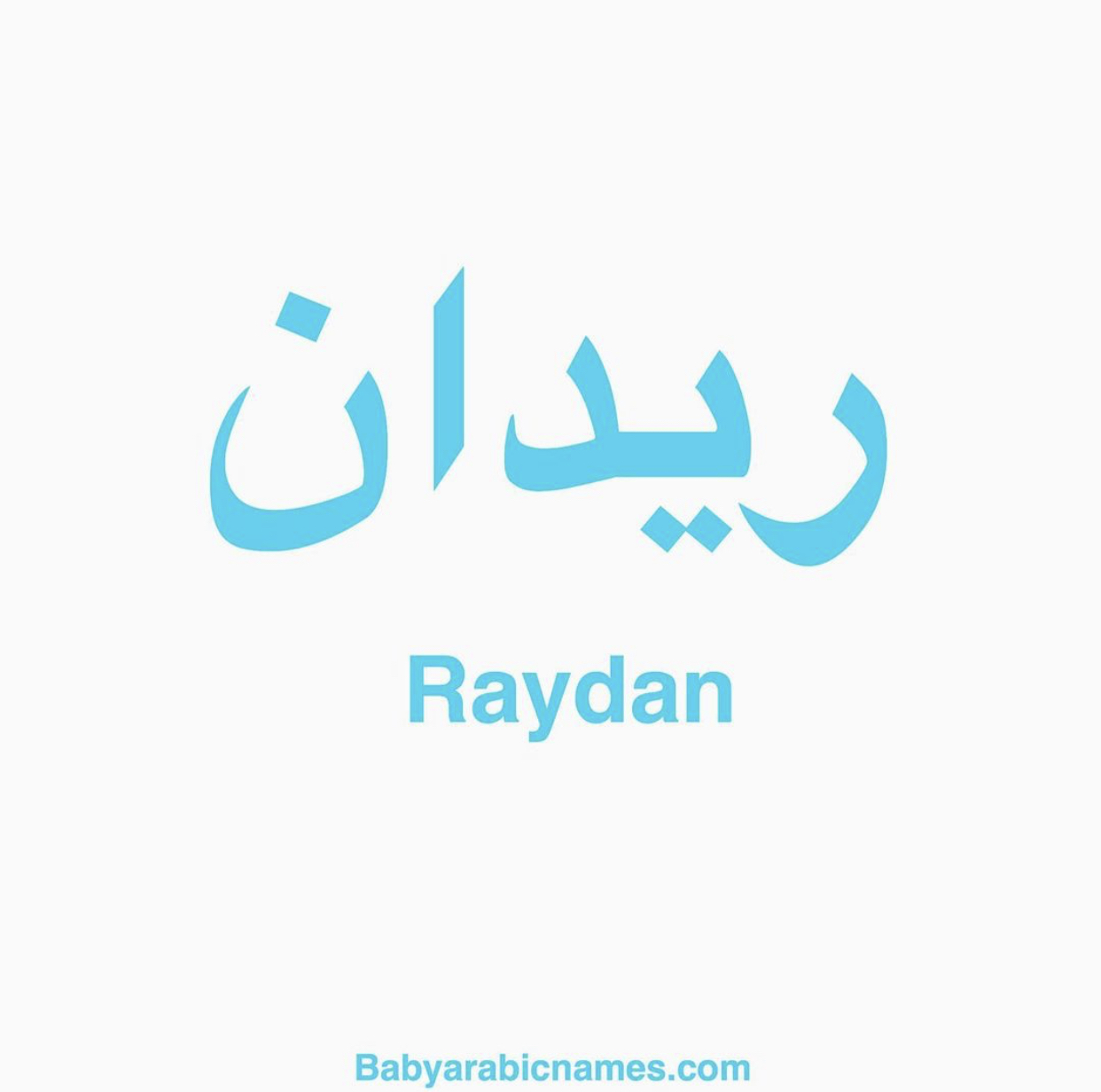 Raydan Baby Boy Arabic Names