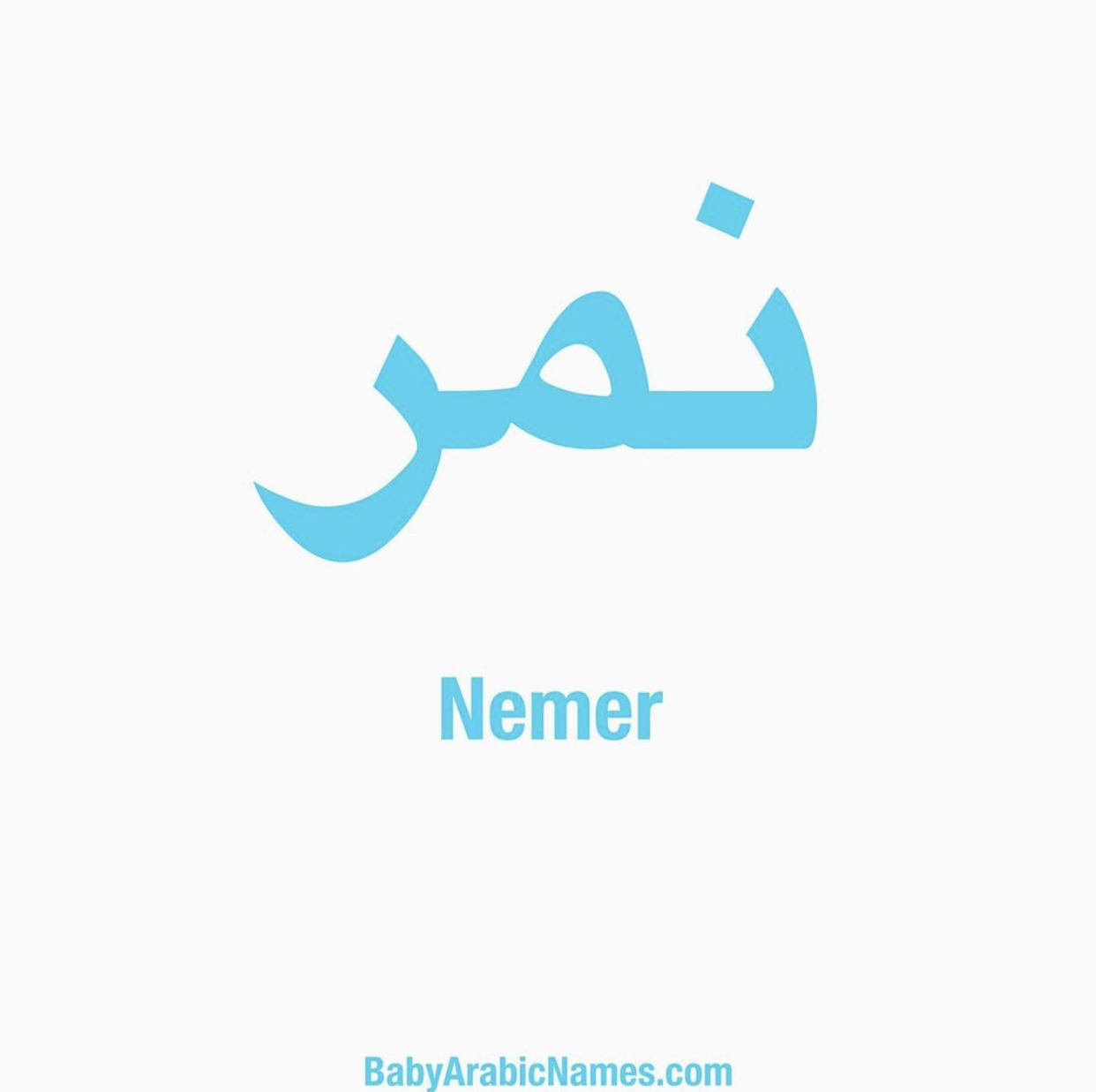 Nemr Baby Boy Arabic Names