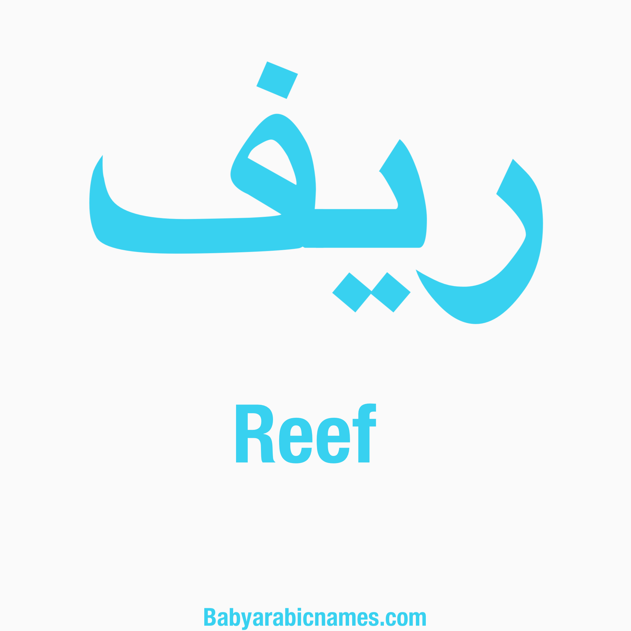 Reef Baby Boy Arabic Name