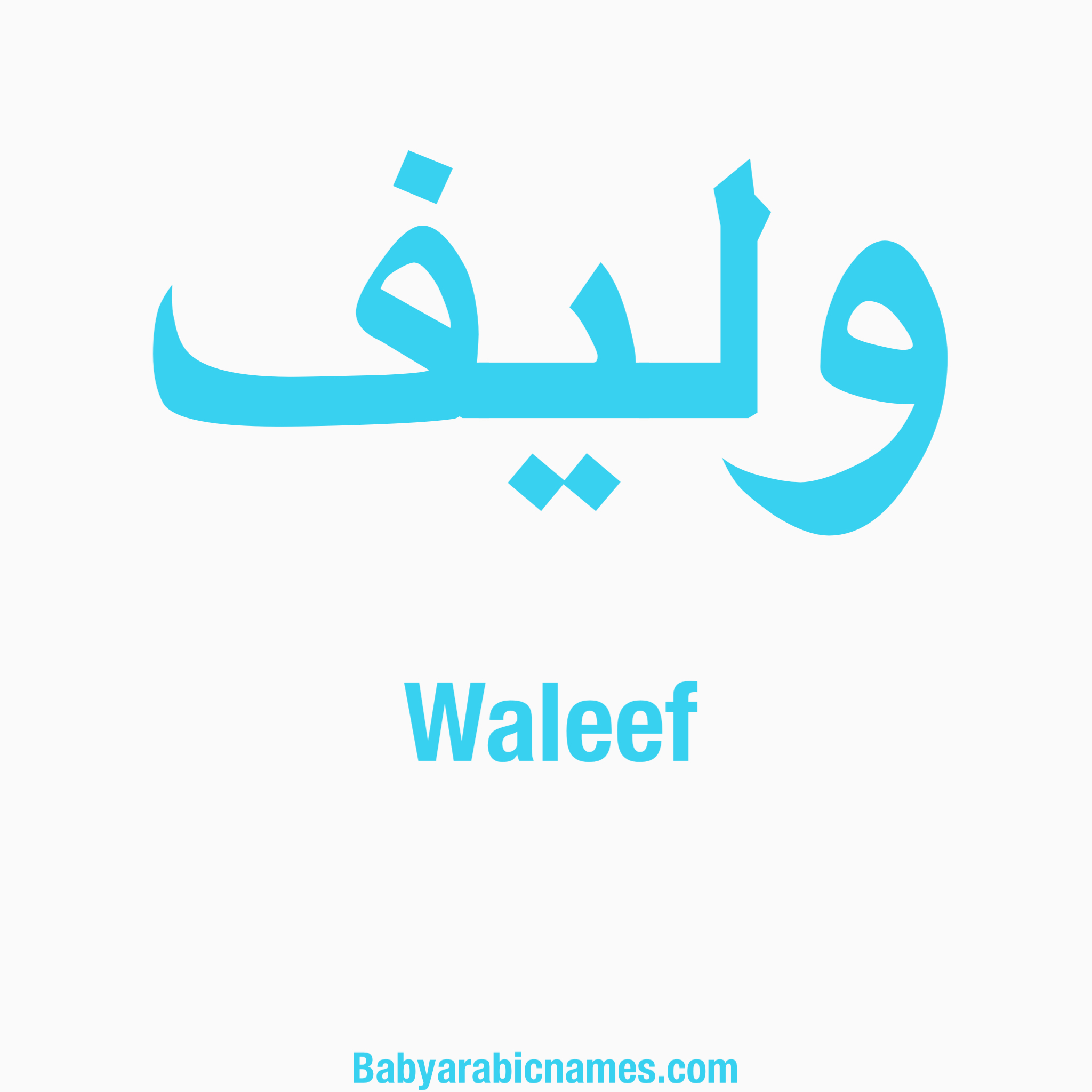 Waleef Baby Boy Arabic Name