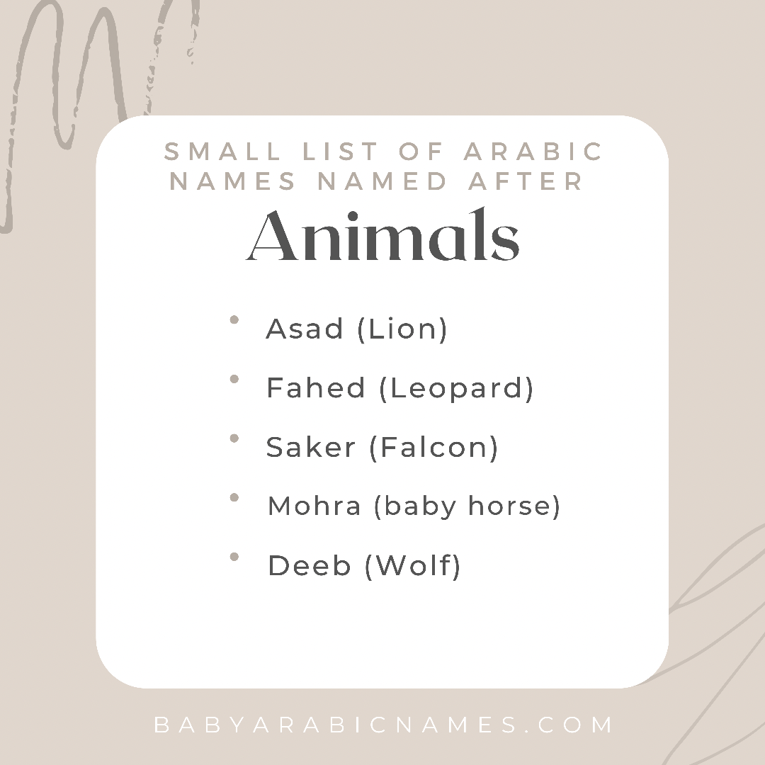 Names Named after Animals