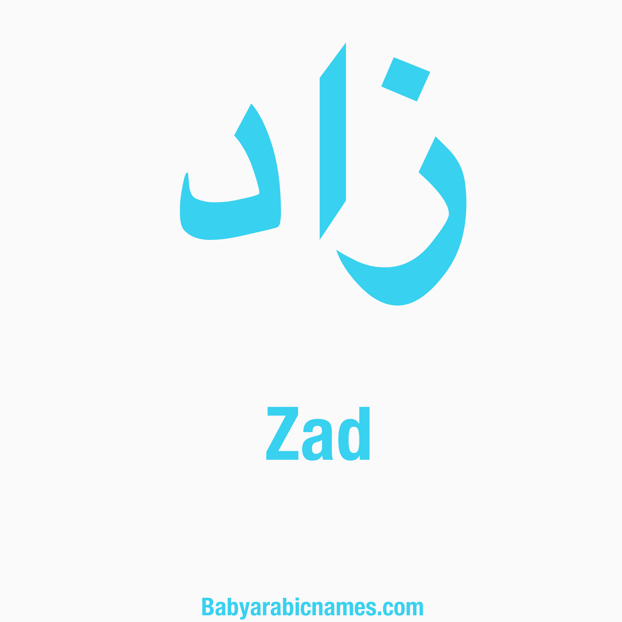 Zad Baby Boy Arabic Name